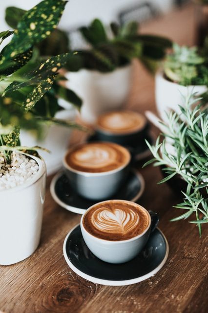 Café con Leche
